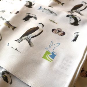 Lliain Sychu Llestri Gweilch Glaslyn 100% Cotwm Pur