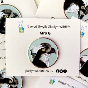 Bathodyn enamel Mrs G